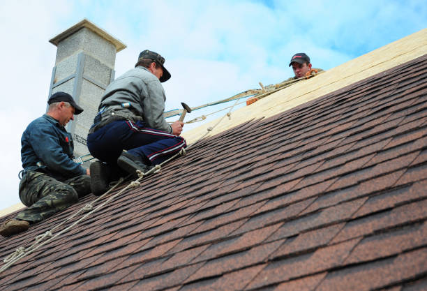 Best Gutter Installation and Roofing  in Peach Lake, NY